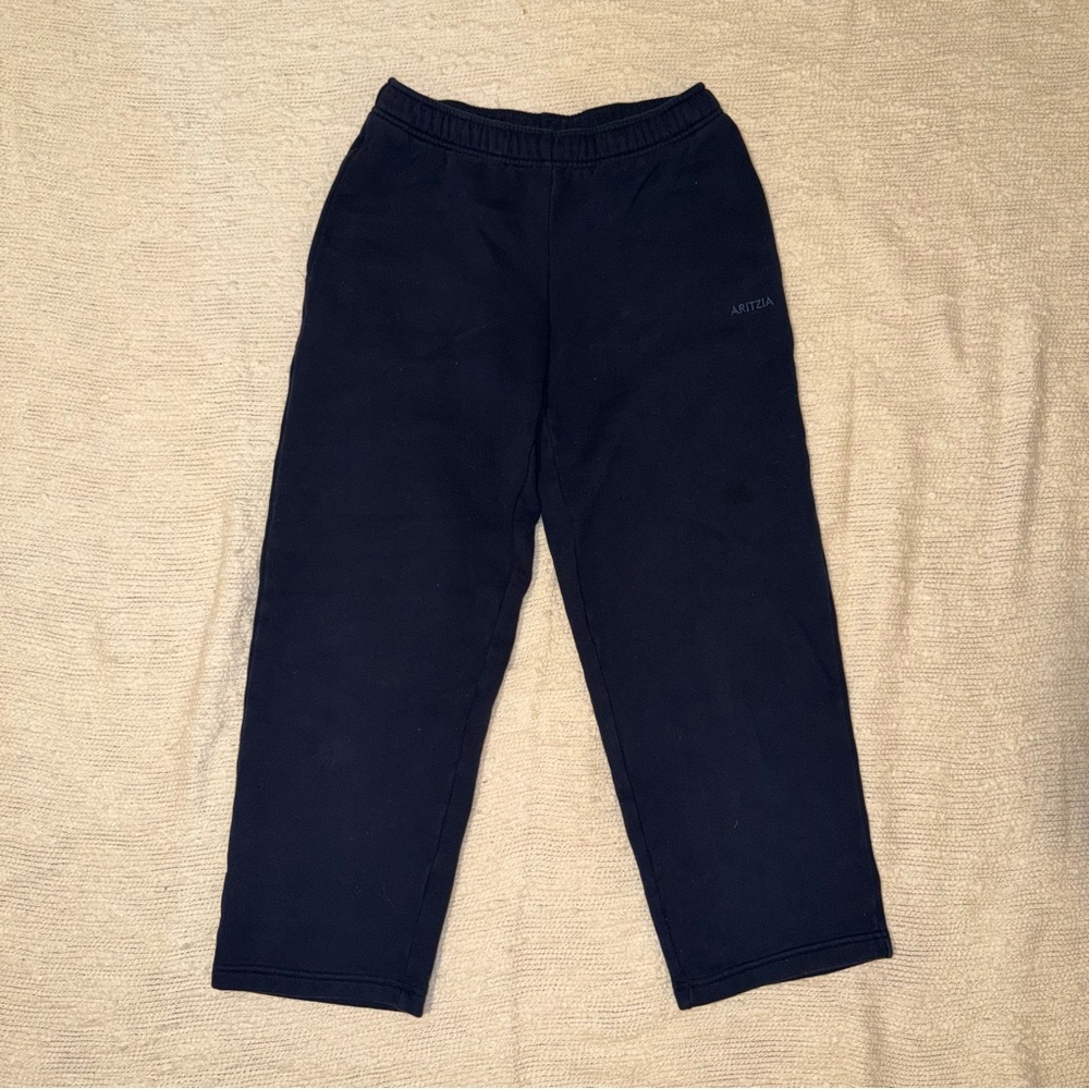 Aritzia Sweatfleece Mega Fit Navy Blue Sweatpants in Size S